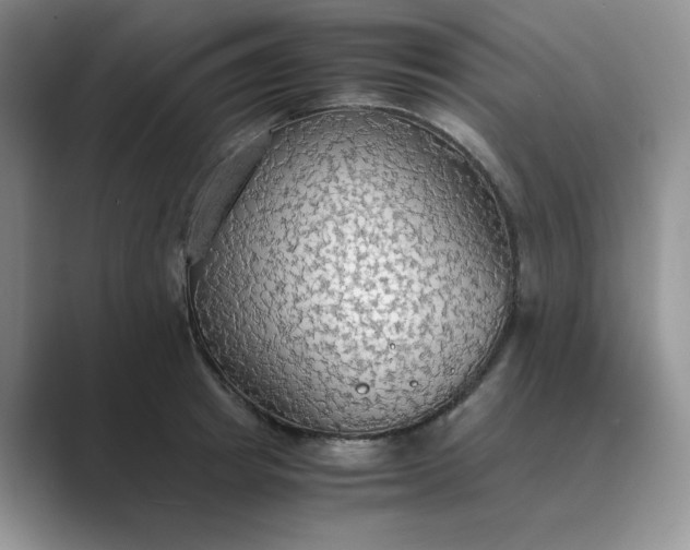 X0000089670849200707051547