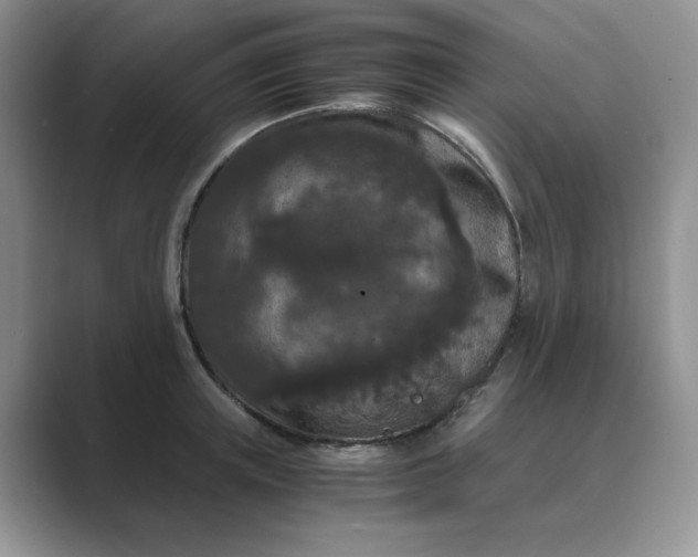 X0000089670851200707051547