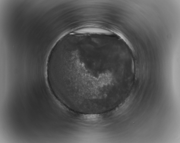 X0000089670853200707051547