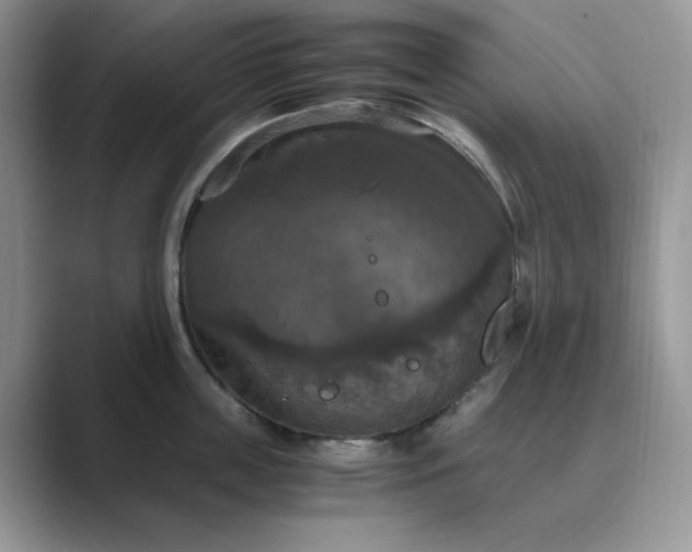 X0000089670859200707051547