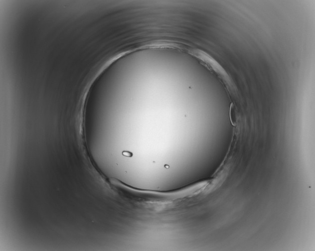 X0000089670860200707051547