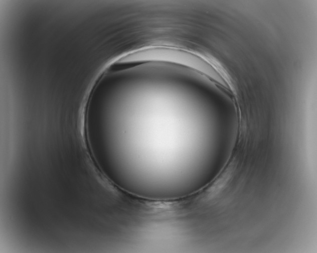 X0000089670862200707051547