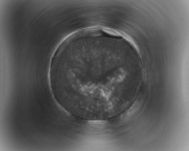 X0000089670863200707051547