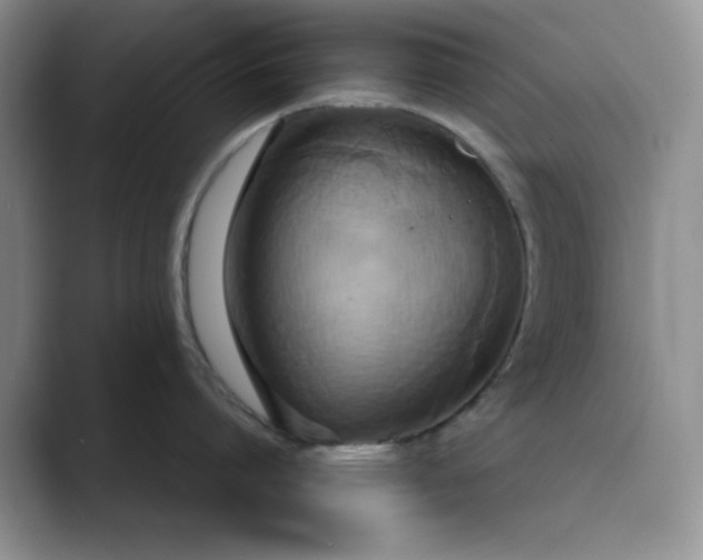 X0000089670864200707051547