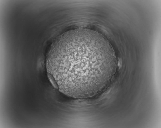 X0000089670867200707051546