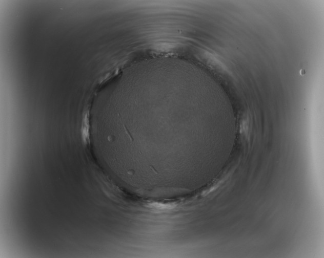 X0000089670868200707051546