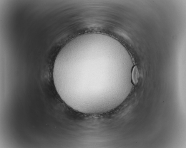 X0000089670869200707051546