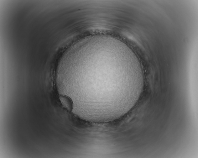 X0000089670870200707051546