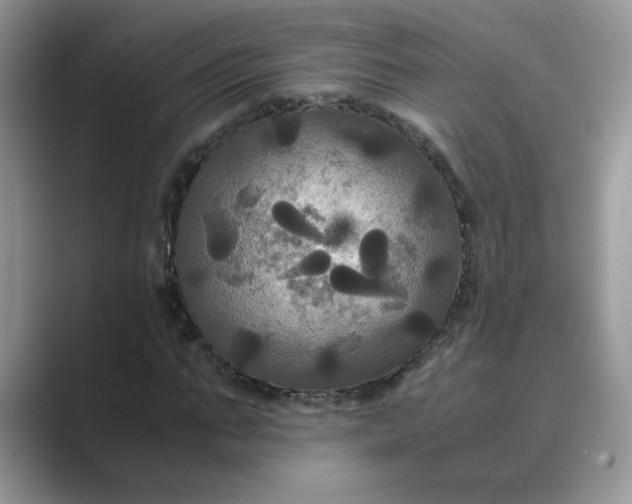 X0000089670871200707051546