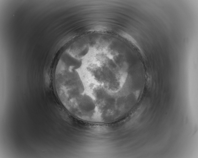 X0000089670874200707051546