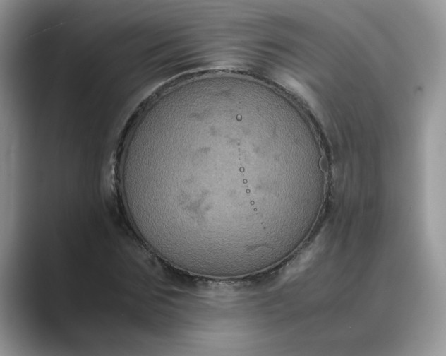 X0000089670875200707051546