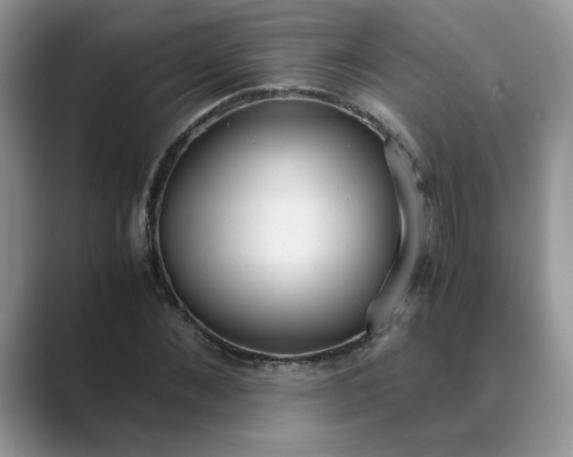 X0000089670876200707051546