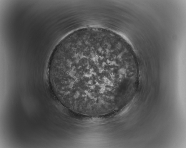 X0000089670879200707051546