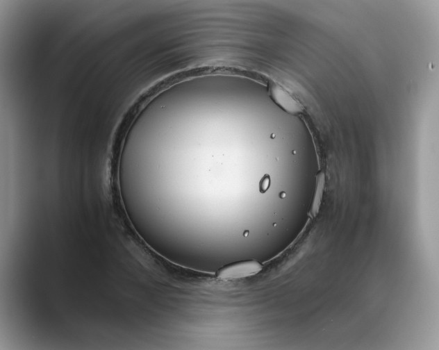X0000089670880200707051546