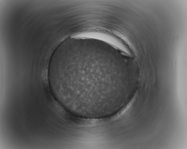 X0000089670881200707051546