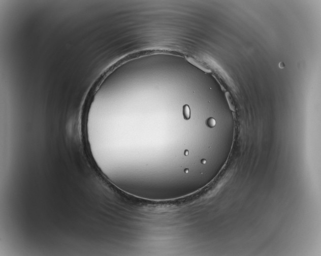 X0000089670884200707051546