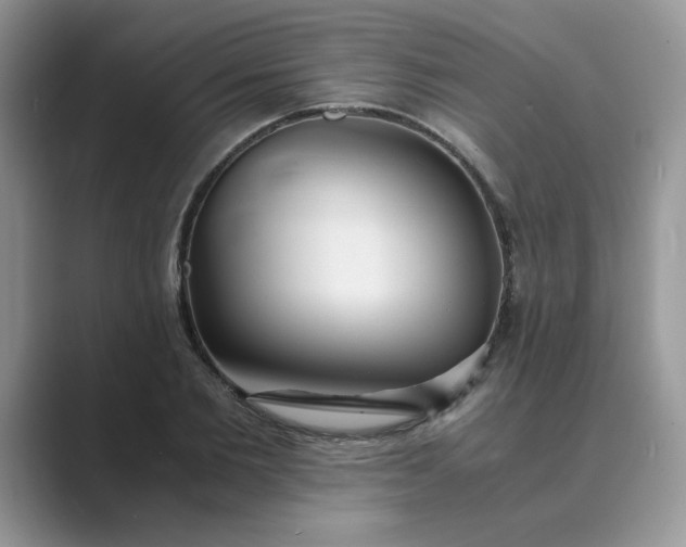 X0000089670885200707051546