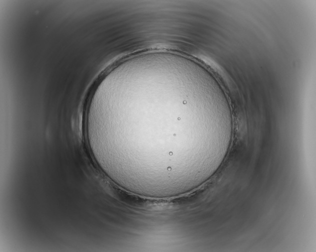 X0000089670886200707051546