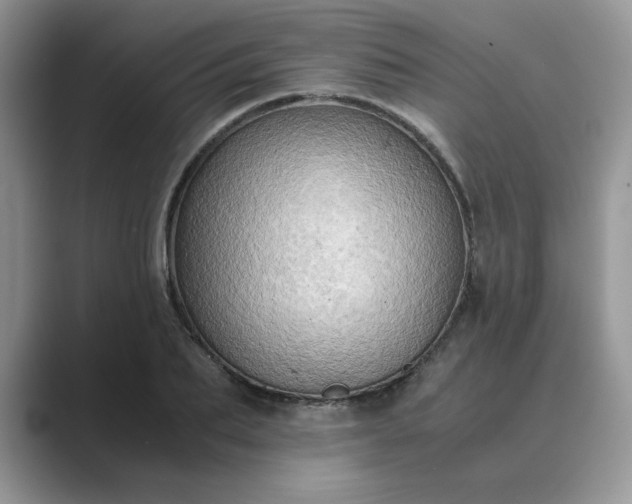 X0000089670887200707051546