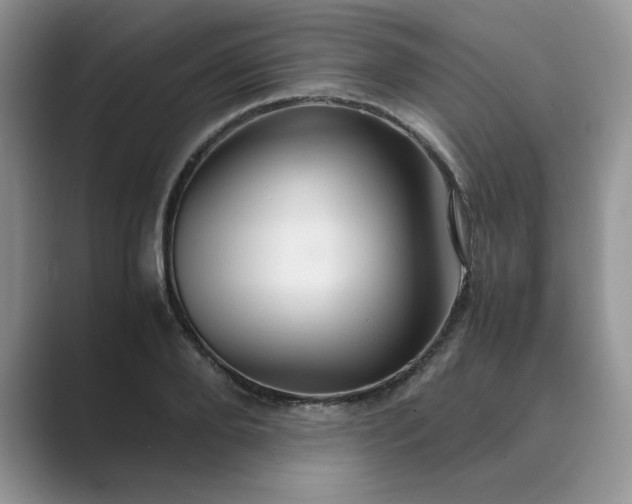 X0000089670888200707051546