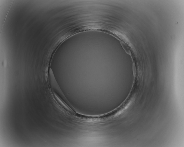 X0000089670889200707051546