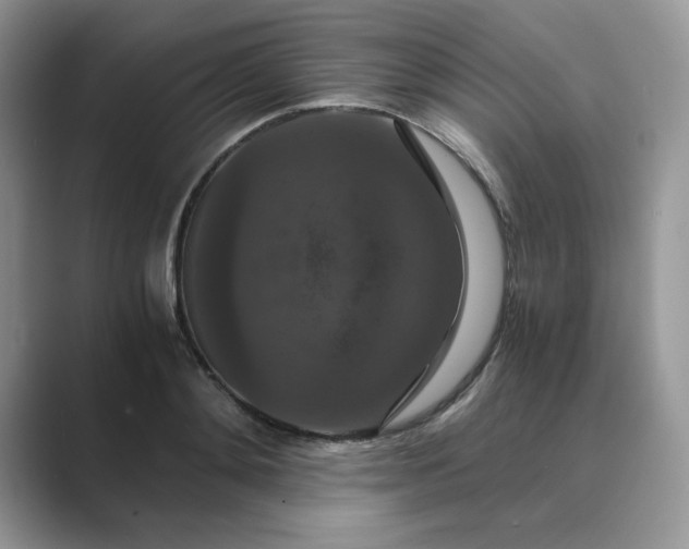 X0000089670892200707051546