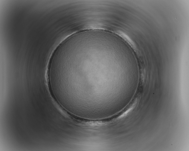 X0000089670893200707051546