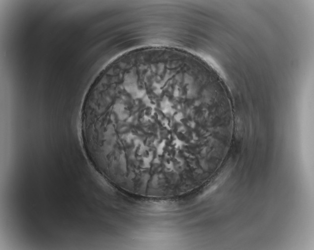 X0000089670895200707051546