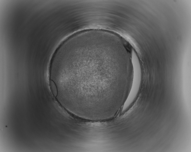 X0000089670896200707051546