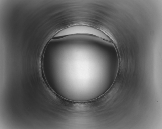 X0000089670898200707051546