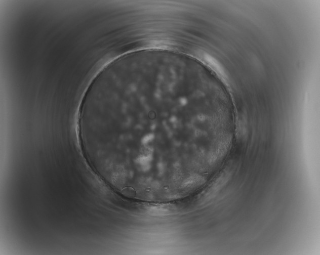 X0000089670899200707051546