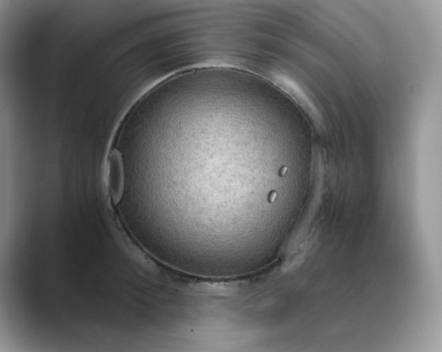 X0000089670900200707051546