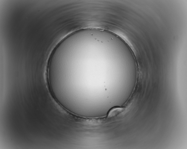 X0000089670901200707051546