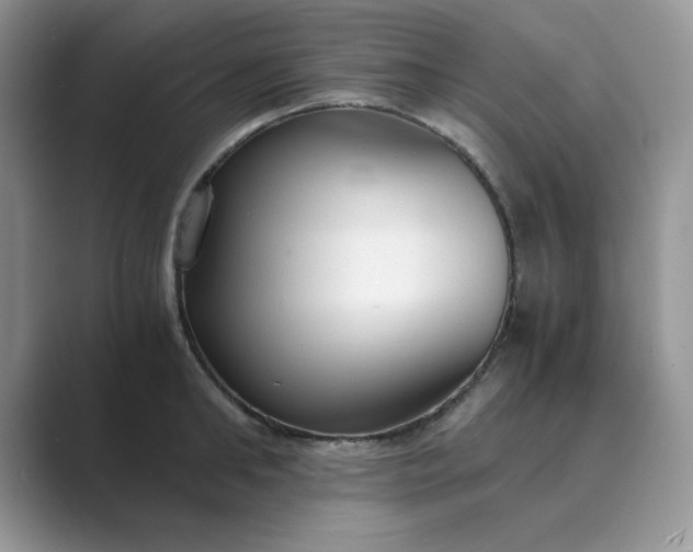 X0000089670902200707051546