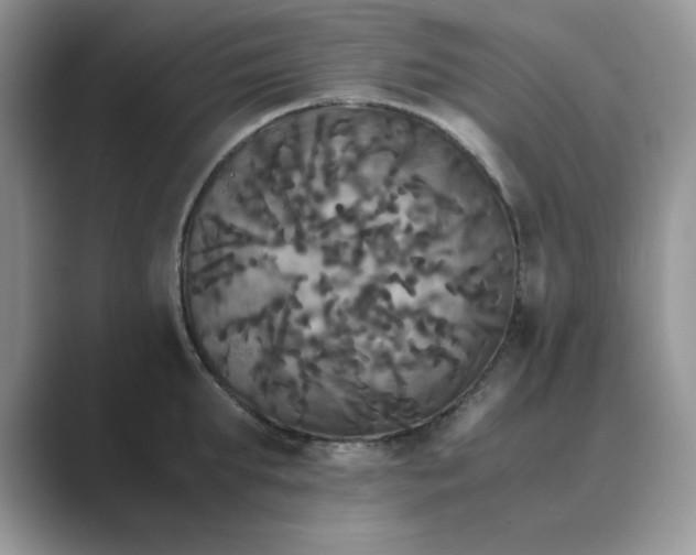 X0000089670903200707051546