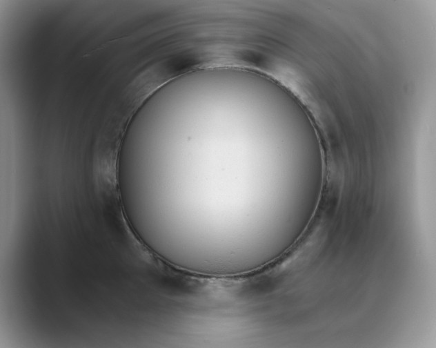 X0000089670905200707051546