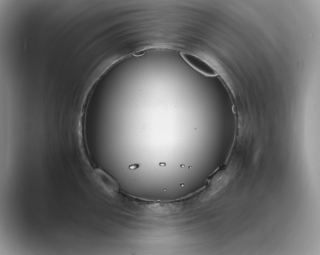 X0000089670906200707051546