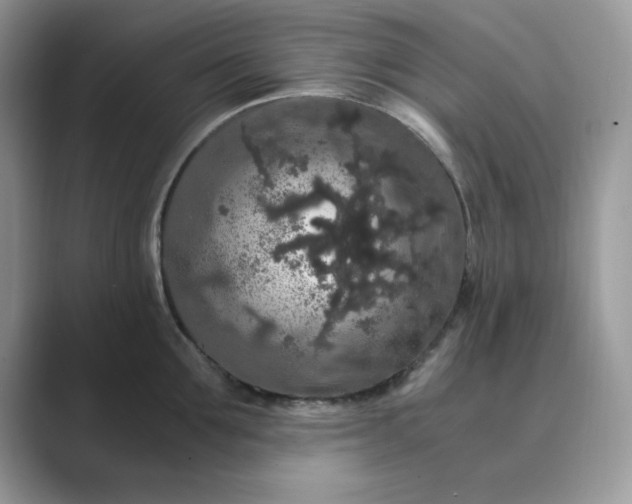 X0000089670907200707051546