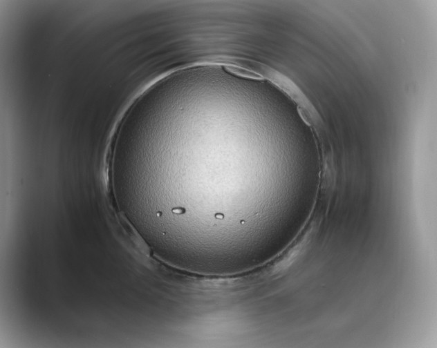 X0000089670908200707051546