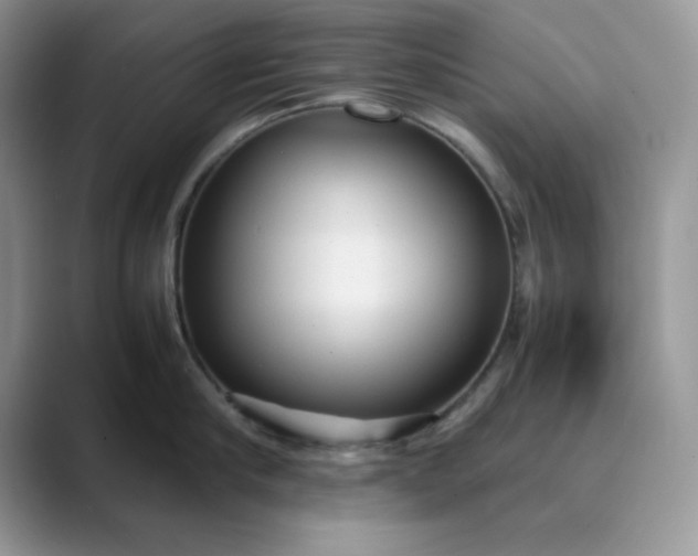 X0000089670910200707051546