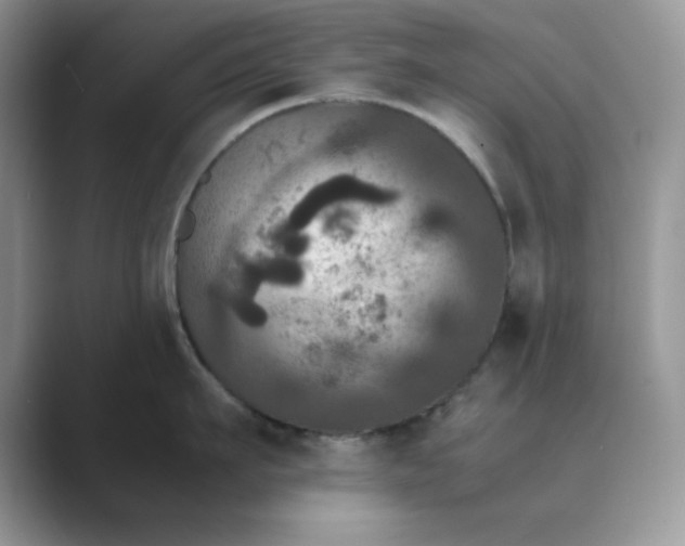X0000089670911200707051546