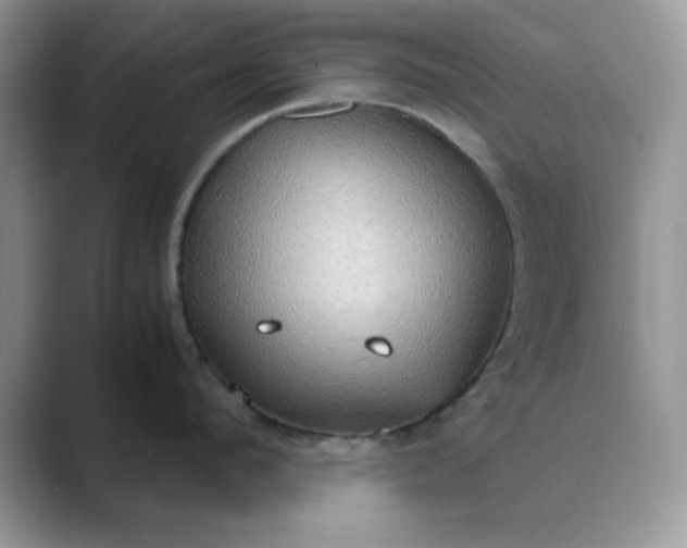 X0000089670912200707051546