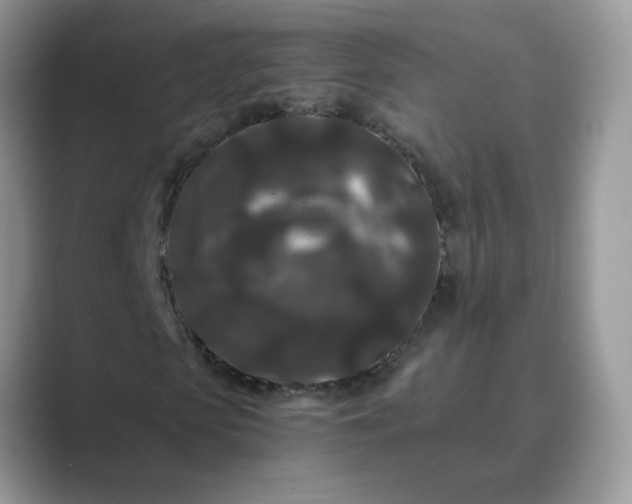 X0000089670913200707051545