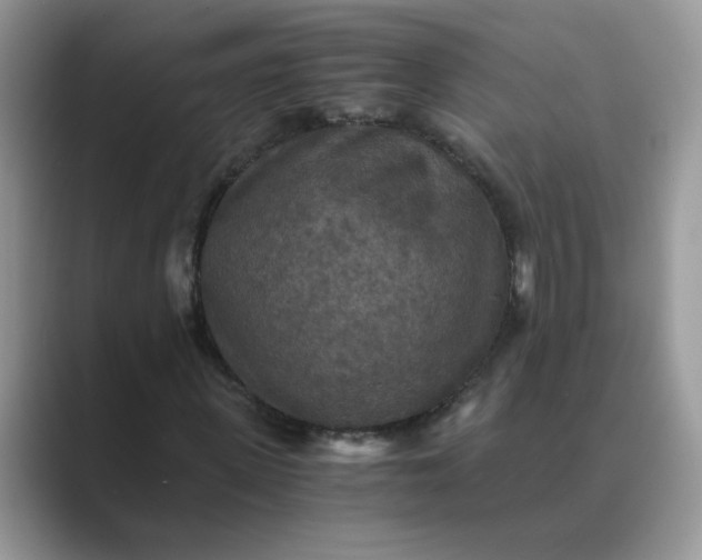 X0000089670915200707051545