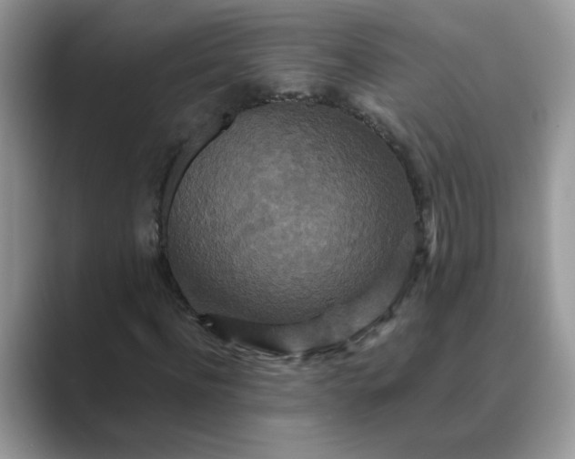 X0000089670916200707051545