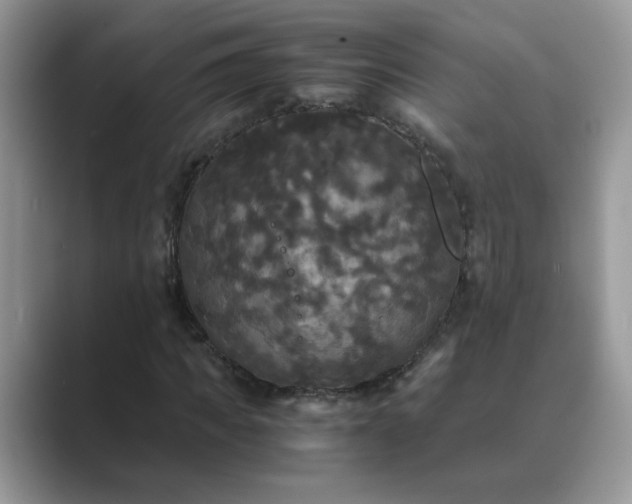 X0000089670917200707051545