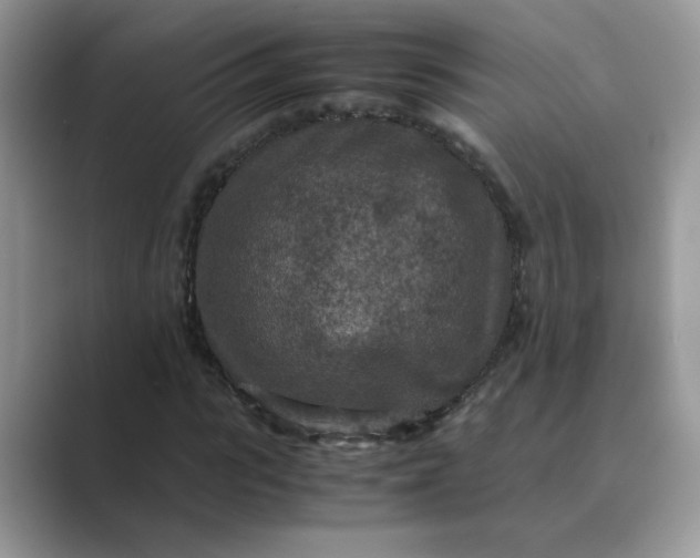 X0000089670919200707051545