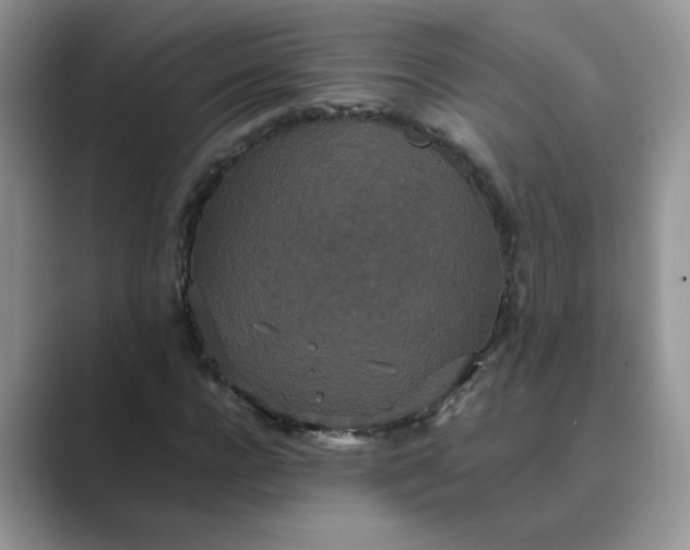 X0000089670920200707051545