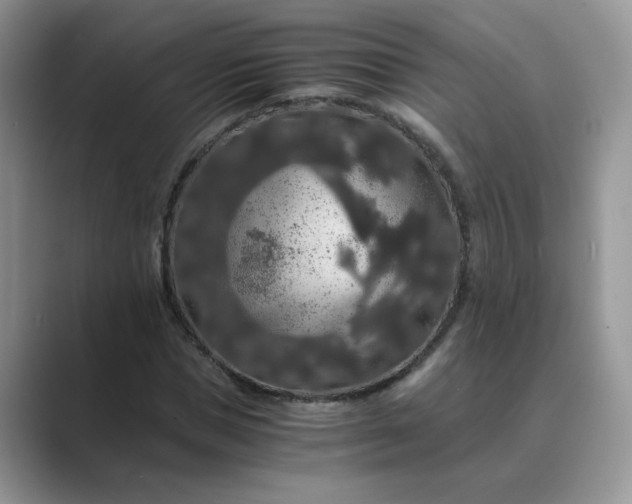 X0000089670921200707051545