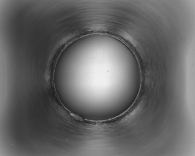 X0000089670922200707051545